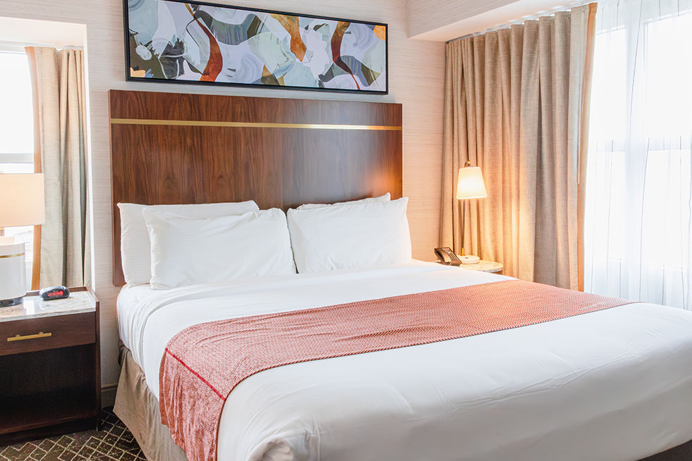 Luxury Suite image